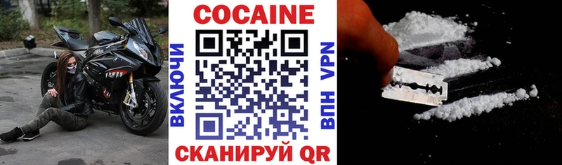 Купить закладки  Дно  COCAIN Fish Scale 
