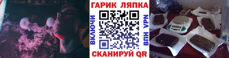 Купить где  Дно  ГАШ Premium 