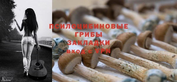молекула духа Кодинск