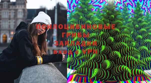 дмт Костерёво