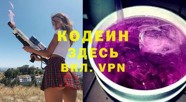 дмт Костерёво