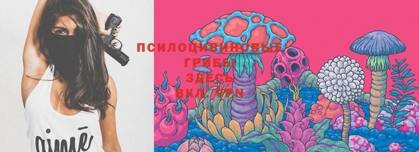 дмт Костерёво