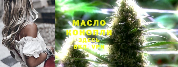 дмт Костерёво