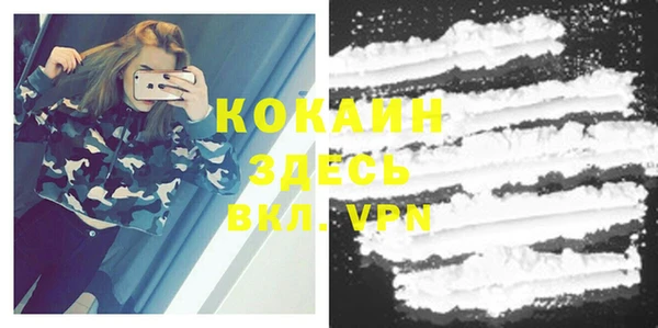 дмт Костерёво