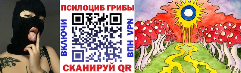 Галлюциногенные грибы прущие грибы  Купить  Дно 